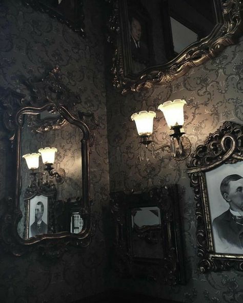 Writers And Poets, Victorian Aesthetic Wallpaper, Dark Victorian Aesthetic, Dark Victorian, American Horror Story Seasons, Victorian Aesthetic, Gothic Design, Black Crow, Gothic Architecture