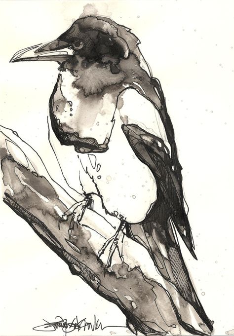 Magpies by Jennifer Kraska, via Behance Watercolor Crow, King Fisher, Pen And Wash, Bird Watercolor, Animal Artwork, White Watercolor, Bird Artwork, Pen And Watercolor, White Bird