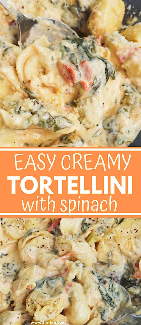 Easy creamy tortellini recipe - super delicious! This tortellini recipe is one of the best dinners I've ever had - creamy, satisfying and I only needed 30 minutes and a pan to make it! Creamy Spinach Tortellini Recipes, Essen, Creamy Cheesy Tortellini, Creamy Chicken Tortellini Pasta, Cheese Tortellini And Spinach Recipes, Sausage Tortellini Alfredo Recipes, Creamy Bacon Tortellini, Sausage Tortellini Pasta Recipes, Asparagus And Tortellini Recipes