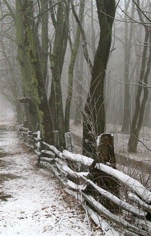 North Carolina mountains near Maggie Valley Winters Tafereel, Winter Szenen, Winter Magic, Winter Scenery, Snow Scenes, Winter Beauty, Winter Wonder, Winter Pictures, Winter Landscape