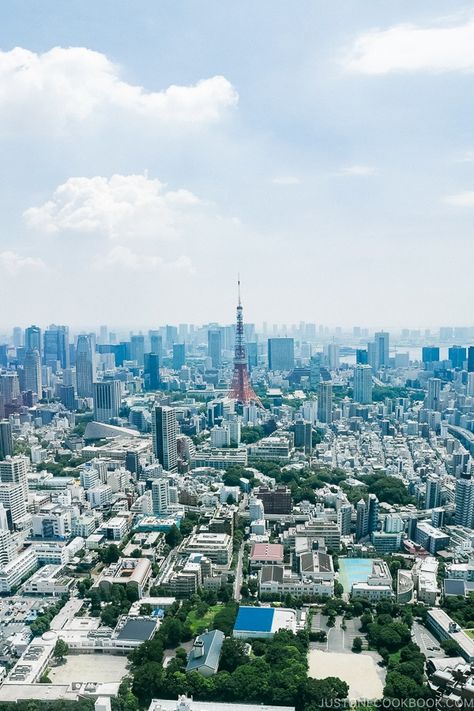 Tokyo City View, Beauty Of Japan, Visiting Japan, Just One Cookbook, Famous Architecture, Japan Travel Tips, Tokyo City, Go To Japan, Japan Travel Guide