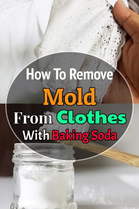 How To Get Mold Stains Out Of Clothes, How To Remove Mold Stains From Clothes, Mildew Stains On Clothes, Mold Stains On Fabric, Mold Removal From Fabric, How To Remove Mold Stains From Fabric, Mold Stains Out Of Clothes, Removing Mold From Clothes, How To Remove Mould From Fabric