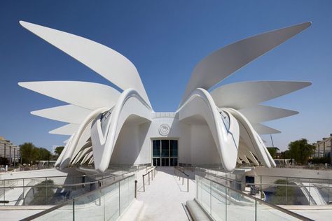 Spanish architect Santiago Calatrava has created a pavilion informed by the shape of a falcon's wing for the UAE at the Dubai Expo 2020, which opens today. Santiago Calatrava, Santiago, World Expo 2020, Dubai Expo 2020, Expo 2020 Dubai, Santiago Calatrava Architecture, Organic Structure, Pavilion Design, Expo 2020