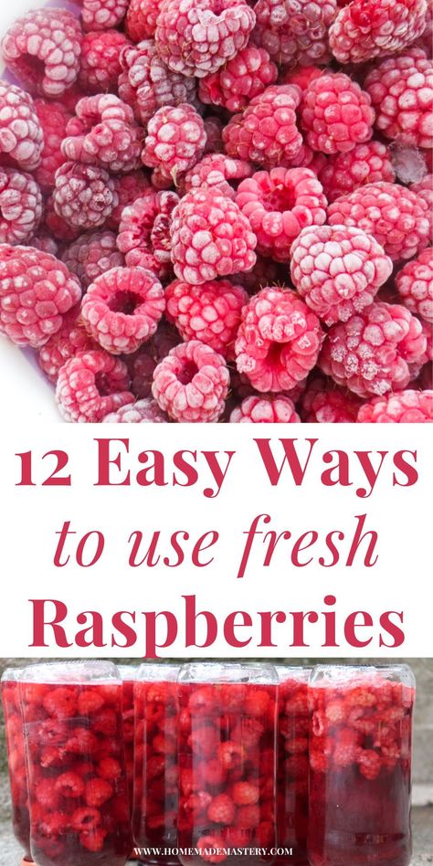 Here are 12 things to do with fresh raspberries when these tasty fruits are in season again and you've got lots of them, too many to handle! Including a few ways to preserve them and delicious raspberry recipes! Ways To Preserve Raspberries, Ideas For Raspberries, What To Do With Fresh Picked Raspberries, How To Preserve Raspberries, Berry Preserves Recipes, Raspberry Snacks Healthy, How To Freeze Raspberries, Things To Do With Fresh Raspberries, Healthy Raspberry Recipes Clean Eating