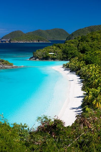 Nature, Trunk Bay St John Virgin Islands, St John Virgin Islands Photography, Saint John Virgin Islands, Us Virgin Islands Aesthetic, At John Usvi, St Thomas Virgin Islands Aesthetic, U.s. Virgin Islands, St. John