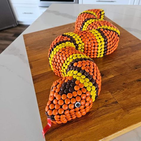 Reese Pieces, Snake Cake, Snake Cakes, Snake Birthday, Snake Party, Reptile Party, Fishing Birthday, Childrens Birthday Cakes, Just Cakes