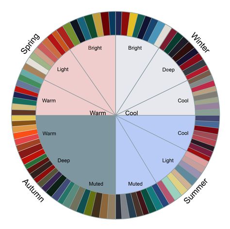 When choosing clothes, sticking to a palette within a wedge will ensure that your colors complement each other! Clothes Colour Pallete, Colour Schemes For Clothes, Color Scheme For Clothes, Cloth Color Palette, Color Palette Dress Colour Schemes, Summer Clothing Color Palette, Cloths Color Palette, Clothes For Cool Undertones, Cool Tone Clothes Color Palettes