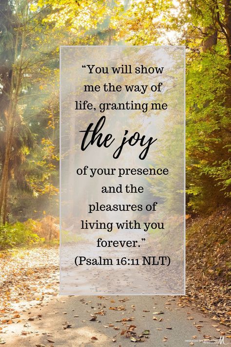 David is the one speaking in this verse, and his heart is glad because he has found true joy in the presence of the Lord. #thankful #joyful #joy #mareedee Oil Of Joy, The Joy Of The Lord Quotes, Joy In The Lord Scriptures, Joy Of The Lord Quotes, The Joy Of The Lord Is My Strength, Joy Quotes Bible, Scriptures On Joy, Quotes About Joy, Joy Verses