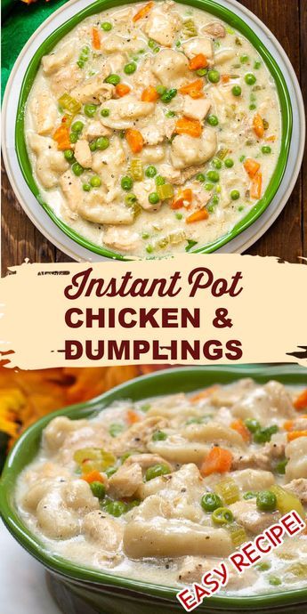 Chicken Dumplings Easy, Instant Pot Chicken And Dumplings, Easy Instant Pot Chicken, Southern Comfort Food, Instant Pot Pasta Recipe, Dumplings For Soup, Instant Pot Soup Recipes, Instant Pot Soup, Best Instant Pot Recipe