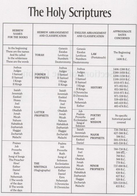 Hebrew vs English Arrangement of Old Testament Books Bible Evidence, Bible Genealogy, New Testament Books, Learn The Bible, Bible Mapping, Bible Study Topics, Bible Resources, Bible Study Help, Hebrew Bible