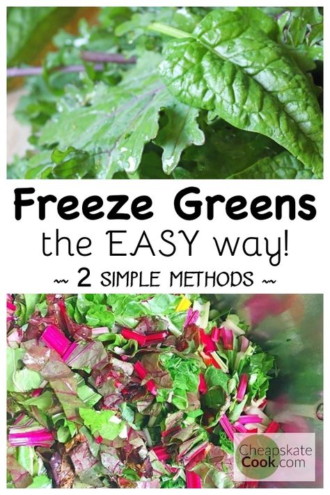 How To Freeze Kale, Freezing Beets, Freeze Kale, Freezing Kale, Freezing Vegetables, Celery Recipes, Radish Greens, Prevent Food Waste, Freeze Greens