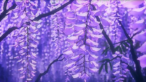 #flower #flowers #wallpaper #background #art #drawing #nice #epic #purple #beautiful #anime Avatar Twitter, Ashita No Nadja, Anime Flower, Wisteria Tree, Purple Wisteria, Purple Flowers Wallpaper, Photo Deco, Scenery Background, 판타지 아트