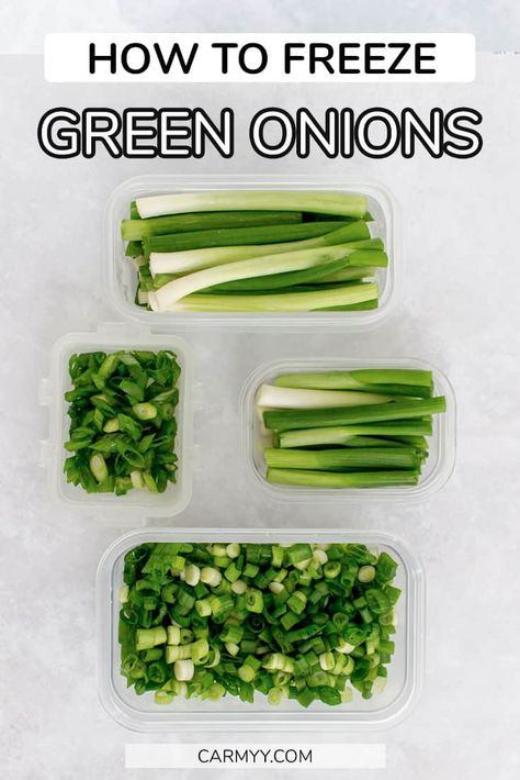 Got a bunch of green onions and can't use them all right away? Or want to have fresh green onions on hand at all time? Here's how to freeze green onions! How To Freeze Fresh Onions, Things To Make With Green Onions, Essen, Freeze Vegetables How To, Canning Green Onions, Best Way To Store Green Onions, Green Onion Uses, Recipes That Use Green Onion, How To Preserve Fresh Green Onions