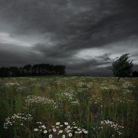 Dark Naturalism, Dark Summer, Rainy Day Aesthetic, Cloudy Weather, Dark Green Aesthetic, Dark Cottagecore, Dark Paradise, Dark Sky, Cloudy Day