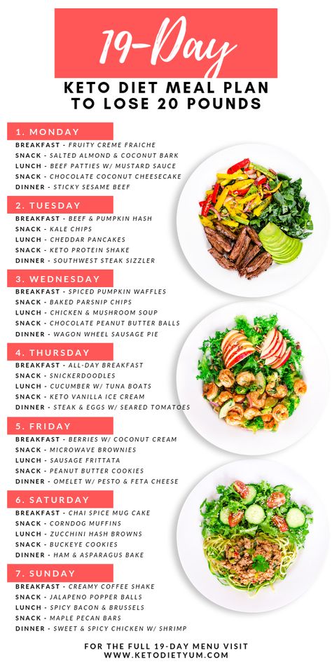 19-Day Keto Diet Meal Plan and Menu for Beginners (Fast Fat Loss!) Waffle Snacks, Keto Protein Shakes, Parsnip Chips, High Protein Low Carb Meals Plan, Resep Diet Sehat, Free Keto Meal Plan, Counting Carbs, Berry Breakfast, Recipes Family