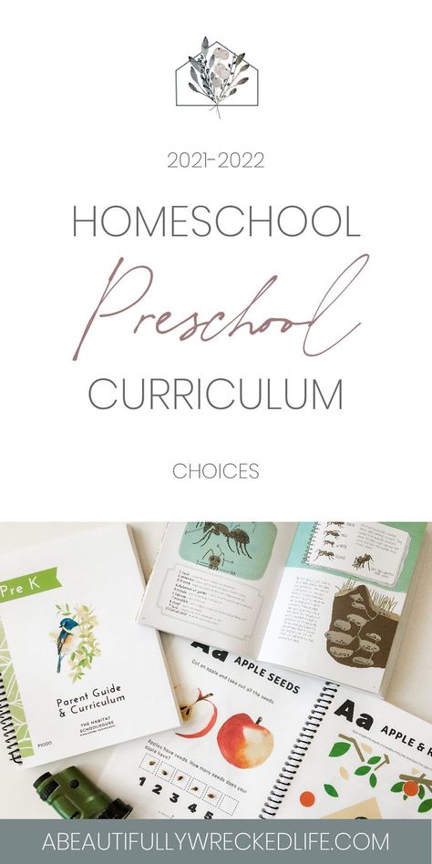 Home School Prek Curriculum, Preschool Year Plan, Homeschooling Activities Preschool, Montessori, Pre K 3 Homeschool Curriculum, Homeschool Preschool Curriculum Age 4, How We Learn, How To Start Homeschooling Preschool, Homeschool Essentials Preschool