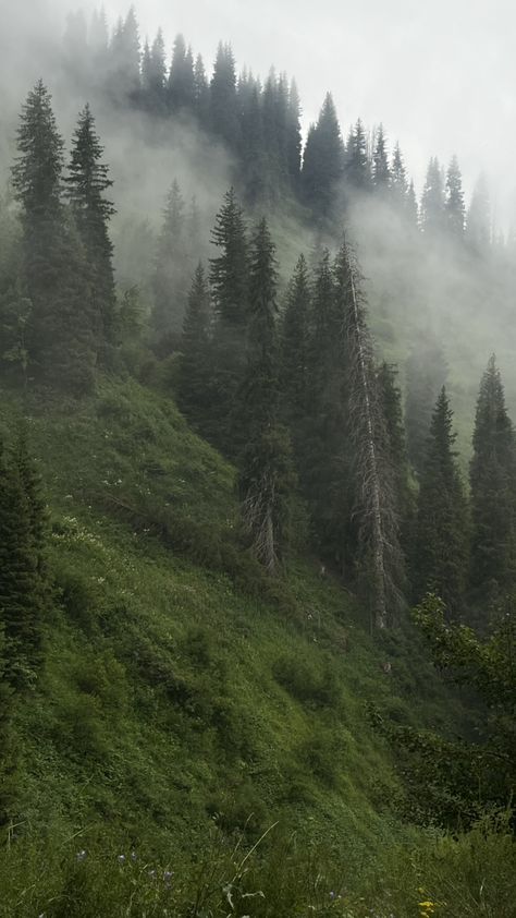 Dark Green Forest, Dark Naturalism, Dark Forest Aesthetic, Mountain Aesthetic, Mountains Aesthetic, Foggy Weather, Foggy Mountains, Dark Nature Aesthetic, Dark Green Aesthetic