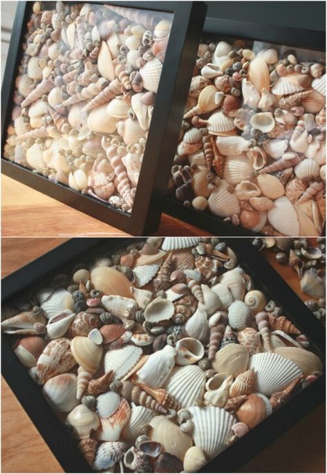 Seashell Shadow Boxes, Seashell Art Diy, Sea Shells Diy, Art Coquillage, Shells Diy, Seashell Projects, Sea Crafts, Shell Crafts Diy, Sea Shell Decor