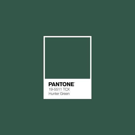 A Christmas Eve Color of the Day Vert Pantone, Green Color Trends, Pantone Green, Pantone Palette, Pantone Colour Palettes, Palette Design, Interior Color Schemes, Dark Green Aesthetic, Pantone Colors