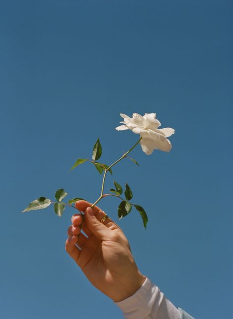 Natural Beauty Photography, Wonderland Magazine, Anne Frank, Images Esthétiques, Wallpaper Free, + Core + Aesthetic, Fashion Photography Editorial, Retro Aesthetic, Flower Aesthetic