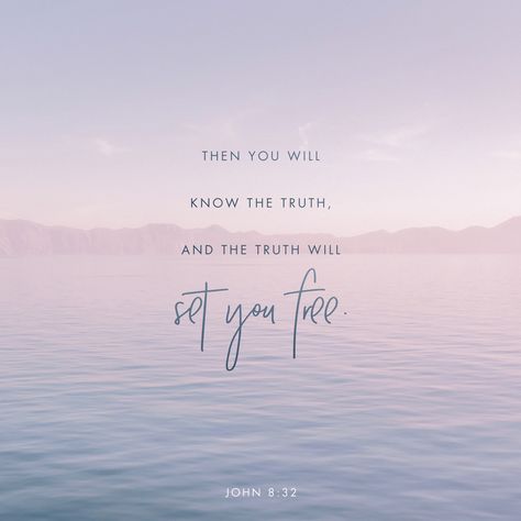 Then you will know the truth, and the truth will set you free. John 8 32, John 8, Amplified Bible, Jesus Christus, Daily Bible Verse, Know The Truth, Daily Bible, Gods Promises, Set You Free