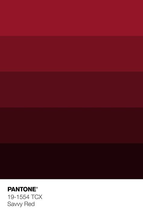 Red Color Shades, 2023 Color Palette, Pantone Violet, Bordo Color, Maroon Color Palette, Red Color Pallets, Tcx Pantone, Pantone Red, Less But Better