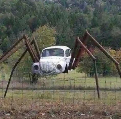 Spider Car Spider Car Rat Rods, Humour, Samar, Image Meme, Weird Images, Relationship Texts, Fresh Memes, Memes Humor, Best Memes