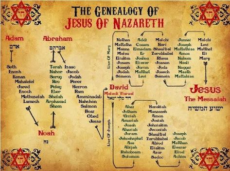 Why Are Jesus' Genealogies in Matthew and Luke Different? Was St. Joseph Adopted, too? Spiritual Insights into Adoption Bible Genealogy, Bible Timeline, Genealogy Of Jesus, Jesus Of Nazareth, Bible Study Topics, Bible Study Help, Bible Study Notebook, Bible History, Ayat Alkitab