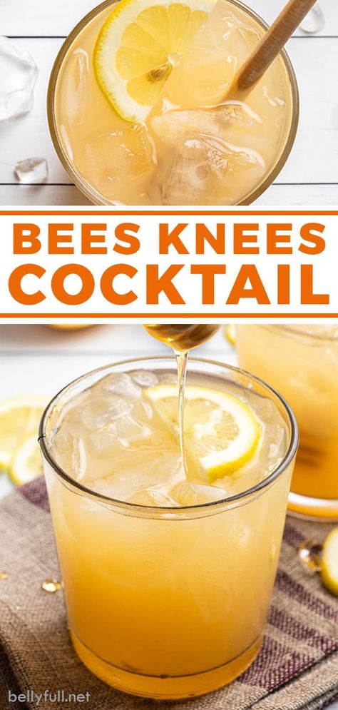 The classic Bee’s Knees cocktail gets a little facelift with added sweet fruit juice, then blended. It’s refreshing and delicious - perfect for spring or summertime. Make a single drink or just multiply the ingredients to satisfy a group. Bees Knees Cocktail Gin, Bee Knees Cocktail, Queen Bee Cocktail, Group Cocktails Drink Recipes, Bee’s Knees Cocktail, The Bees Knees Cocktail, Bees Knees Cocktail Recipe, Specialty Drinks For Party, Group Cocktails