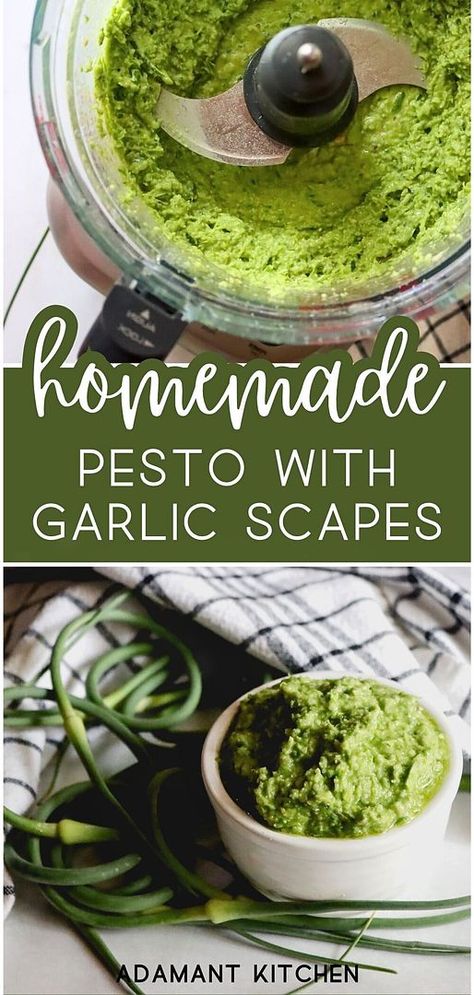 Homemade pesto with garlic scapes showcased in spring seasonal recipes is perfect for those who love crafting their condiments. This homemade pesto is a brilliant addition to your culinary repertoire, bringing freshness and flavor to any meal. Find more summer seasonal recipes, whole food recipes, and preserving garlic scapes at adamantkitchen.com Garlic Scapes And Basil Pesto, Garlic Scapes Recipes, Scape Recipes, Scape Pesto Recipe, Preserving Garlic, Scape Pesto, Garlic Scape Pesto, Homemade Pesto Recipe, Garlic Scapes