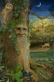 Fairy Art, Creature Fantasy, Tree People, Tree Faces, Tree Spirit, Nature Spirits, Tree Carving, Owl Art, Arte Fantasy