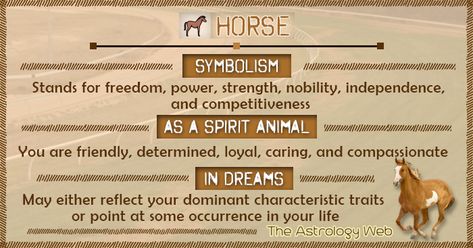 Horse Meaning and Symbolism | The Astrology Web Horse Meaning Spirit Animal, Horse Symbolism Meaning, Horse Dream Meaning, Spirit Animal Horse, Horse Spirit Animal Meaning, Animal Omens, Horse Meaning, Horse Symbolism, Horse Spirit Animal