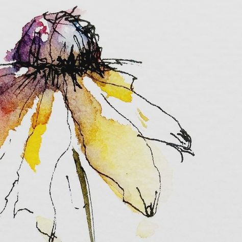 Botanical Drawings Watercolor, Pen And Wash Flowers, Line And Wash Watercolor Flowers, Ink And Watercolor Art Ideas, Watercolour Still Life, Abstract Watercolor Flowers, Floral Artists, Abstract Botanical Art, Abstract Watercolor Flower