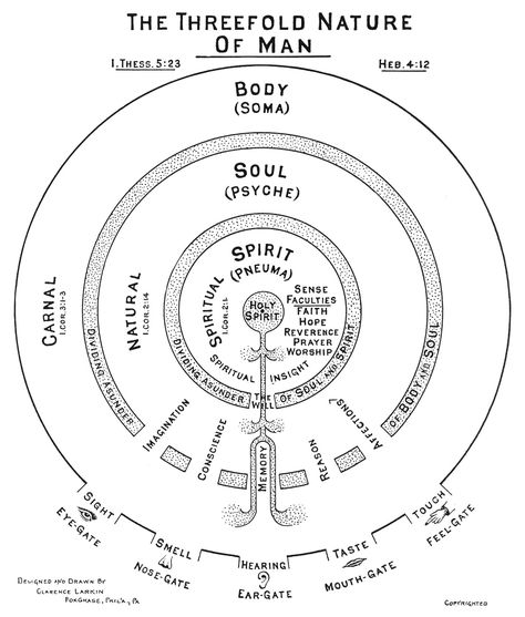 Threefold Humanity.  Recently we tend to boil down the human person into two parts - body/soul.  But the ancients saw three parts (as used in the Bible) - which is actually a much more functional and explanatory breakdown Book Of Shadows, Clarence Larkin, Watchman Nee, Sacred Science, Spirit Soul, Spirit Science, Spirit World, Ancient Knowledge, Psych