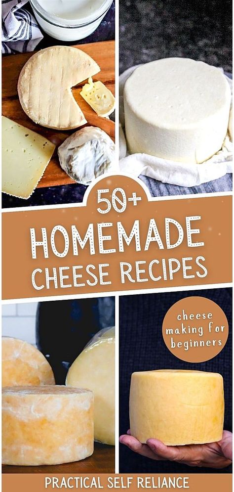 Discover the joy of homemade cheese with our collection of over 50 recipes, perfect for beginners in cheesemaking. From the basics of cheddar to the nuances of colby, these easy-to-follow recipes will guide you through the process, making the art of cheesemaking accessible and enjoyable. Find more easy whole food recipes, DIY homestead projects, and homestead survival at practicalselfreliance.com. Sharp Cheese Recipes, Make Cheese From Milk, Diy Parmesan Cheese, Cheese Press Diy How To Make, Make Your Own Mozzarella Cheese, Diy Cheese Press, Soft Cheese Recipes, Easy Mozzarella Recipes, How To Make Ricotta Cheese