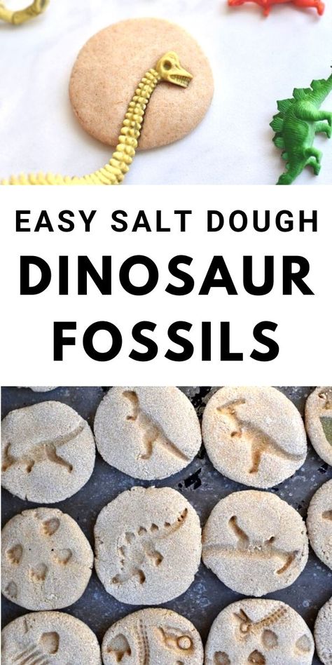 End Of School Crafts For Toddlers, Salt Dough Recipe Dinosaur Fossils, Dinosaur Theme Snacks Preschool, Salt Dough Crafts Preschool, Dinosaur Preschool Sensory Bin, Crafts For All Ages Easy, Make Your Own Fossils, Diy Dinosaur Games Party Ideas, Dinosaur Activities For 3rd Grade