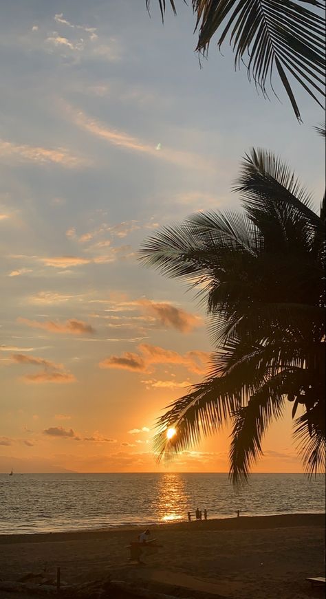 sunset mexico Summer Wallpaper Palm Trees, Palm Tree Asethic Wallpaper, Pom Trees Aesthetic, Palm Trees On Beach, Background View Nature, Gambia Aesthetic, Formal Wallpaper, Beach Sunset Palm Trees, Palm Trees Aesthetic