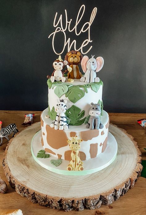 Wild One Cake Ideas, Wild One Birthday Cake, One Birthday Cake, Wild One Cake, Wild One Birthday, One Cake, Wild One, Cake Ideas, First Birthday