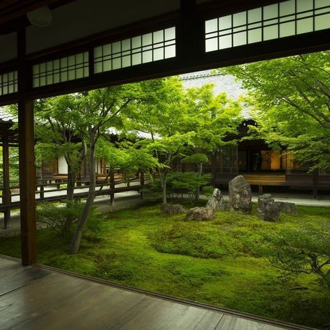 Japanese Home Garden, Tanaman Sukulen, Kyoto Garden, Lotus Garden, Japanese Style House, Zen Garden Design, Japan Garden, Japan Kyoto, Asian Garden