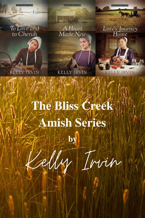 Amish Books Fiction, Christmas Romance Books, Cozy Books, Amish Books, Family Christmas Movies, Books Fiction, Christmas Romance, Library Journal, Imagination Station