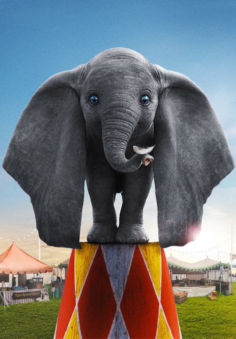 Dumbo Live Action, Dumbo 2019, Dumbo Movie, Alan Arkin, Dumbo Disney, Elephant Wallpaper, Disney Background, Cute Disney Drawings, Disney Live