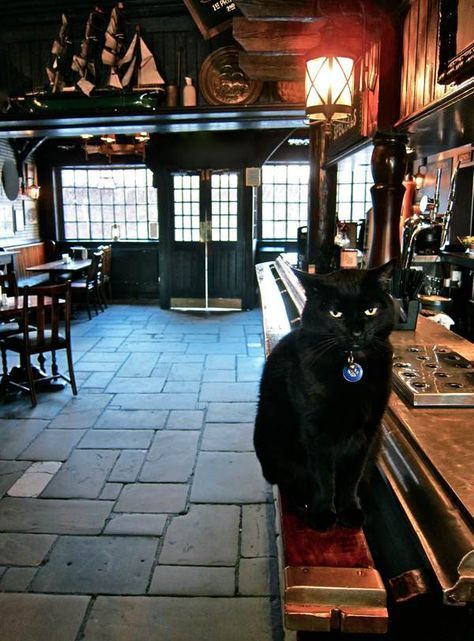 The Gentle Author’s Wapping Pub Crawl - Four-hundred-year-old stone floor - at The Prospect of Whitby, London Pub Interior, British Pub, Stone Floor, Old Pub, Pub Signs, Pub Crawl, Old Stone, Cat Walk, Stone Flooring