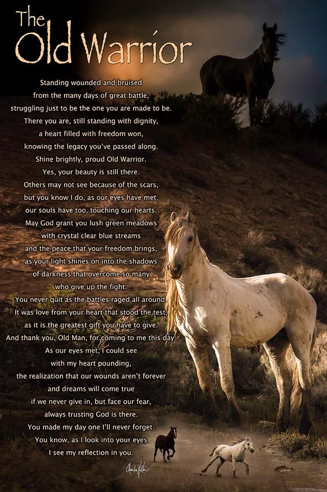 the old warrior poem with two horses