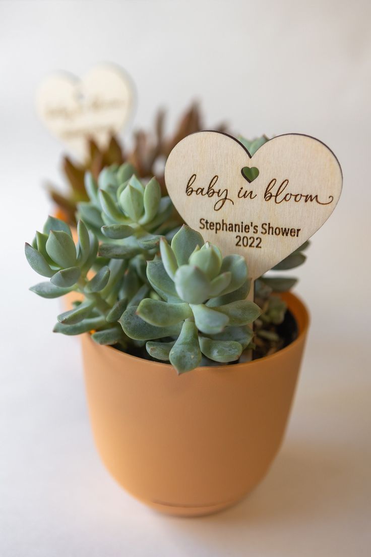 a small potted plant with a wooden heart shaped baby in bloom sign on it