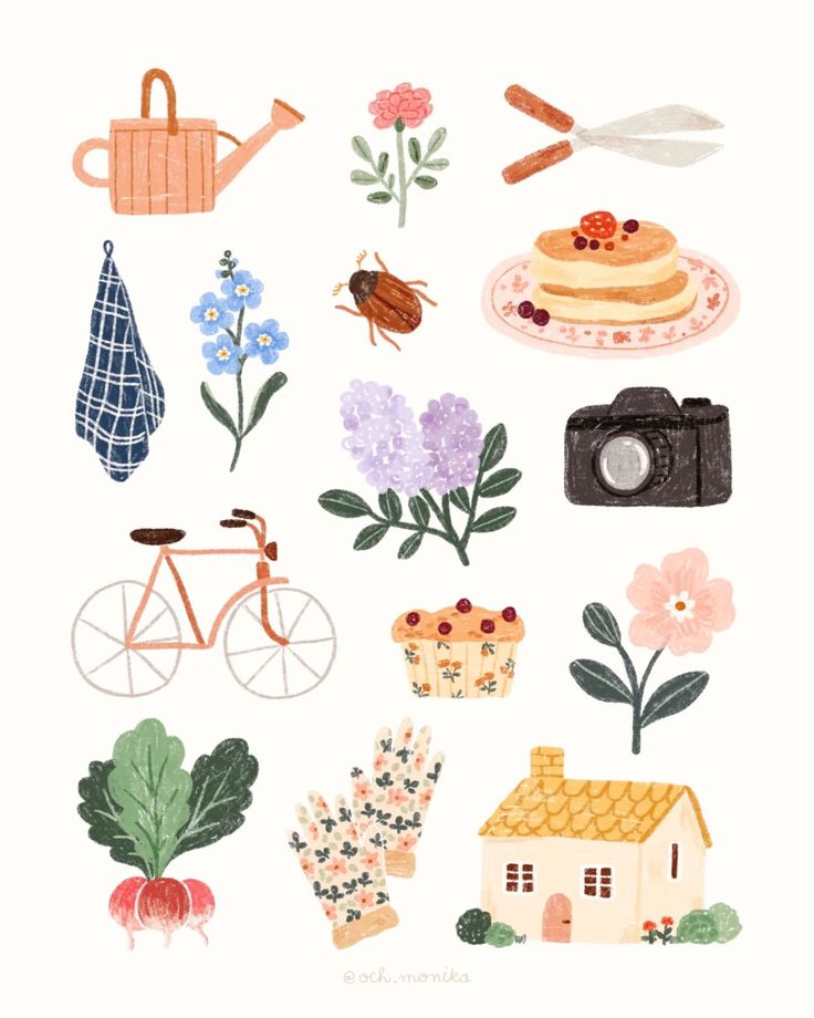 various items are arranged in the shape of flowers and other things on a white background