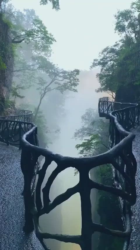 This may contain: the bridge is made out of branches and has water running down it's sides