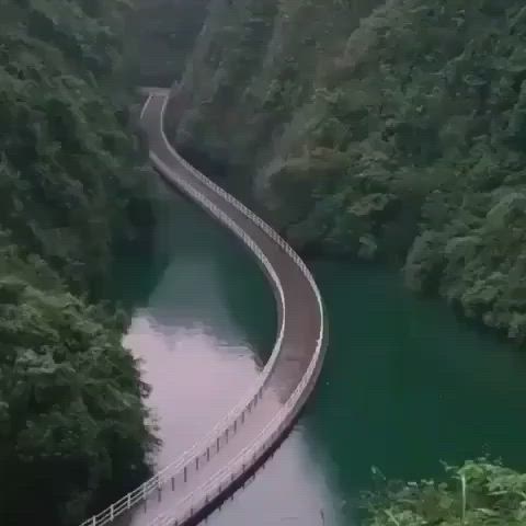 This may contain: a car driving on a bridge over a river in the middle of a lush green forest