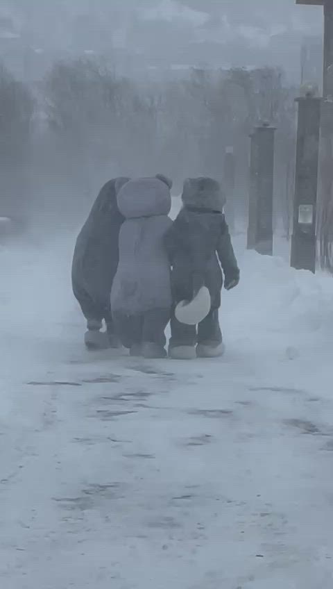 This may contain: three children are playing in the snow together