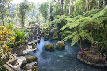 Natural pool