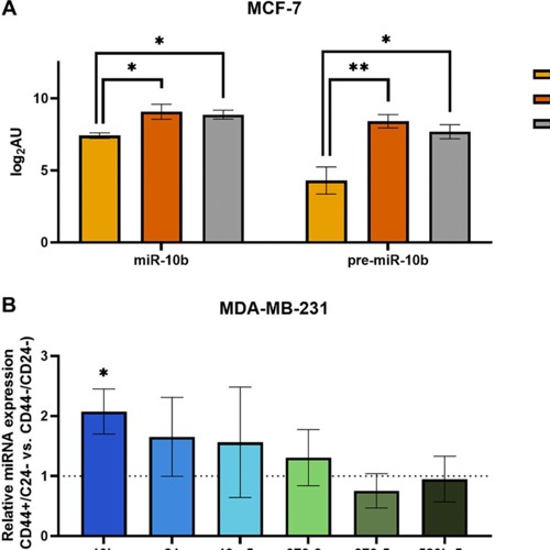 miR-10b Inhibition: A Strategy for Treating Metastatic Breast Cancer